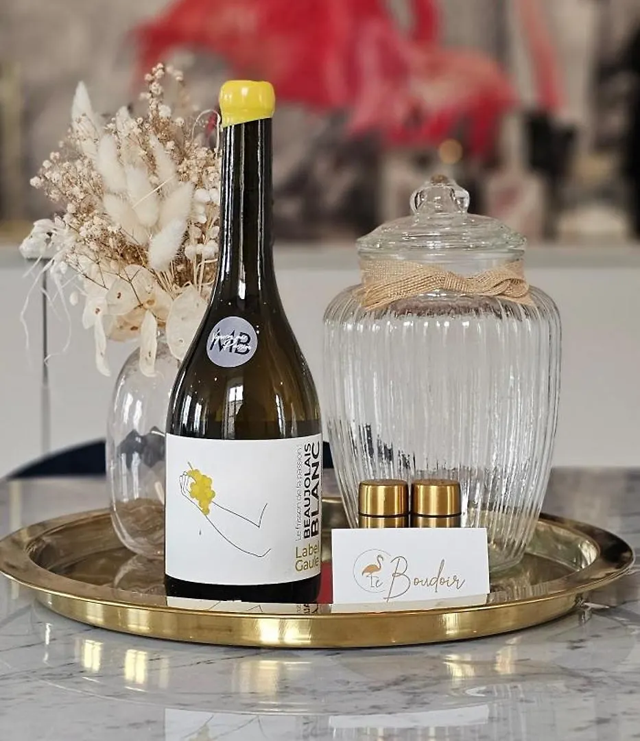 Le Boudoir Du Beaujolais Appartement Belleville-en-Beaujolais Frankrijk